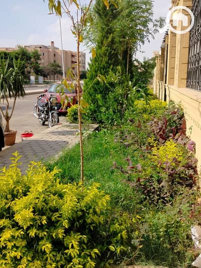 شقة 3 غرف نوم للبيع في مدينة الشروق، القاهرة - photo_15_2025-11-28_01-15-18. jpg