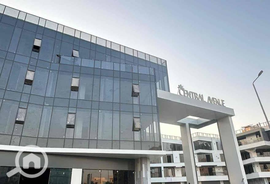 IMG_1655. jpg IMG_1655. jpg