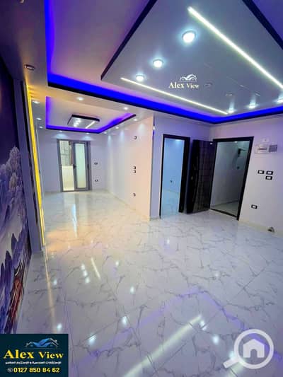 شقة 2 غرفة نوم للبيع في العصافرة، الإسكندرية - 1. jpg