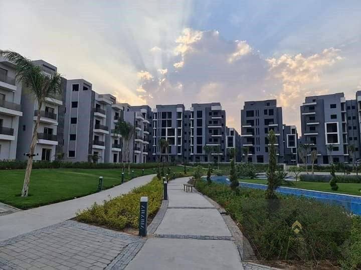 11 470840925_1332075684818044_1427517926984033286_n. jpg