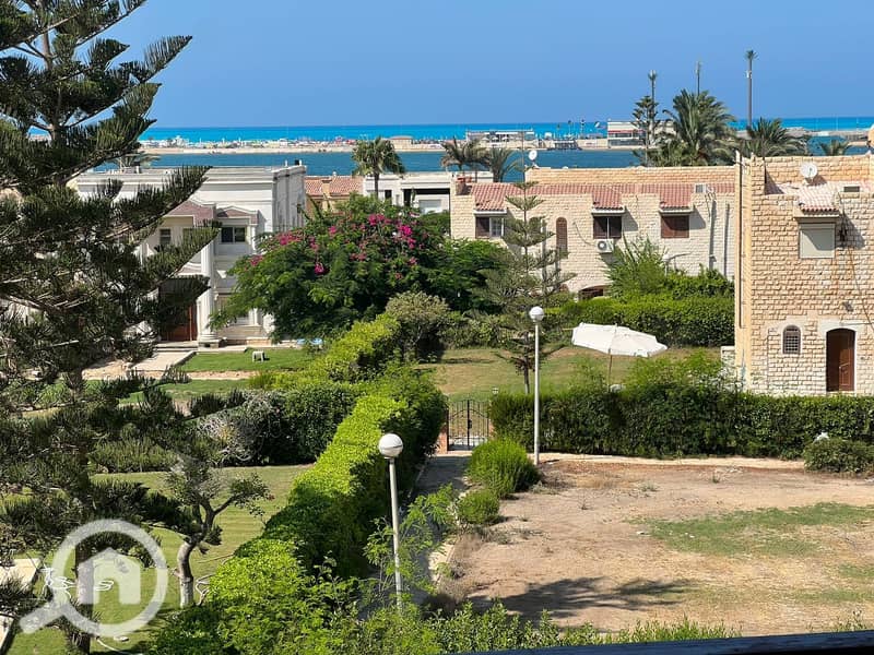 2 93AD60DF-4198-4029-9BBF-A1CB5837A996. jpeg