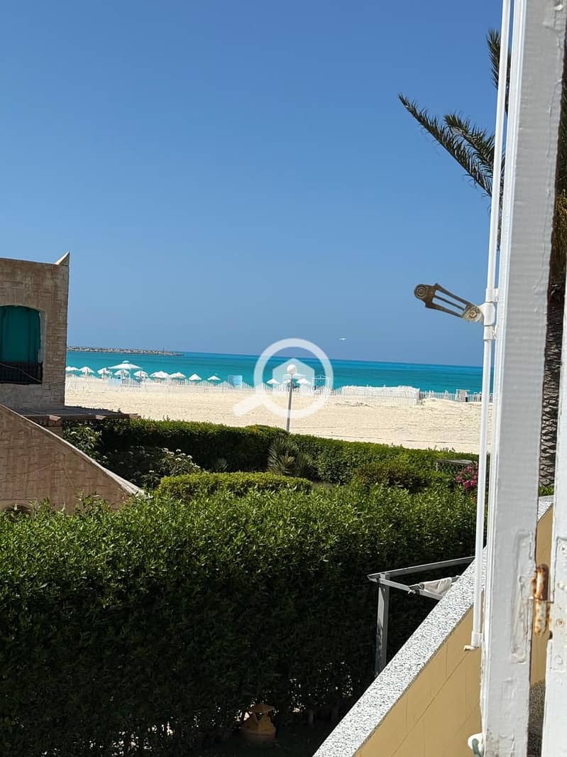 12 DD133C63-00EF-441A-92B6-1538552D56C9. jpeg