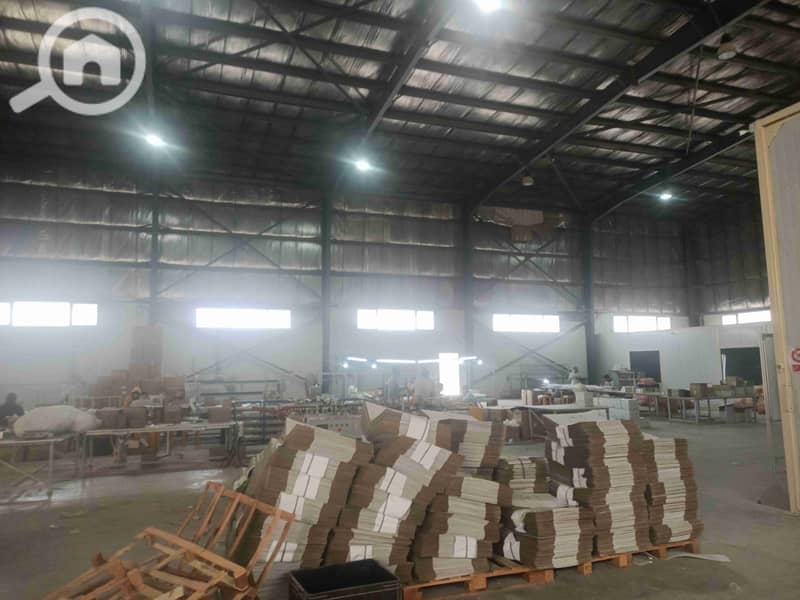 1000240675. jpg 1000240675. jpg