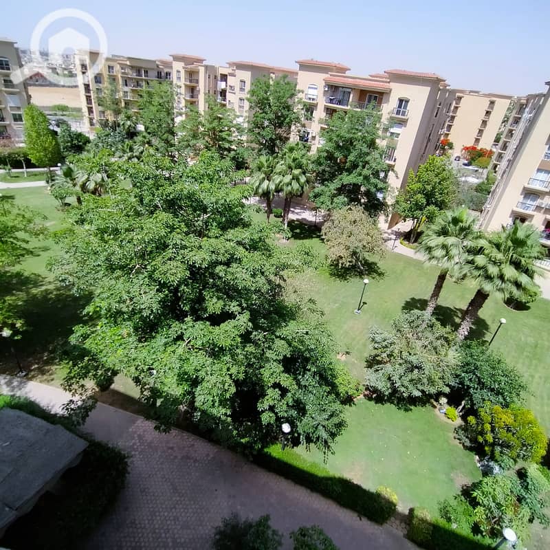 4 IMG20250525145318. jpg