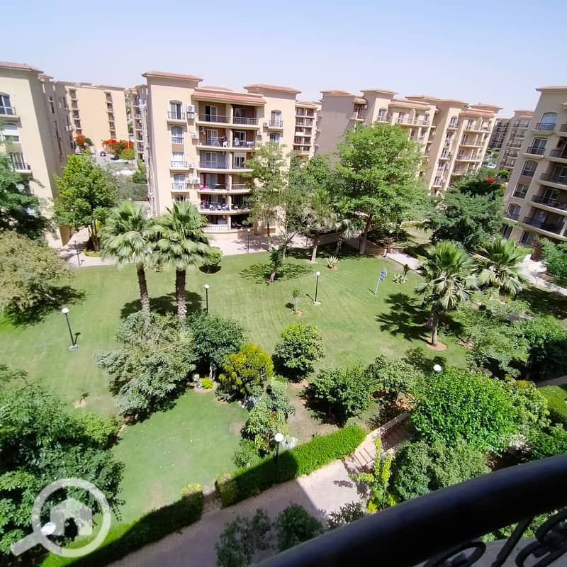 5 IMG20250525145313. jpg