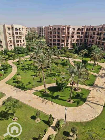 2 Bedroom Apartment for Rent in New Cairo, Cairo - 1000405351. jpg