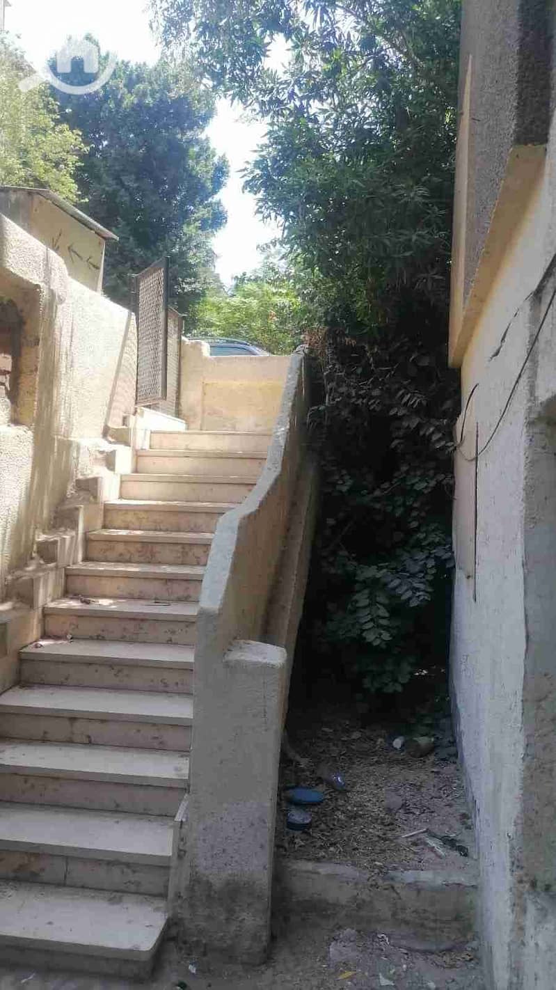 11 IMG-20251111-WA0080. jpg