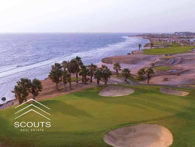 8 6d82f25b-4fca-4d7d-bd40-de8fac7bef83. jpg