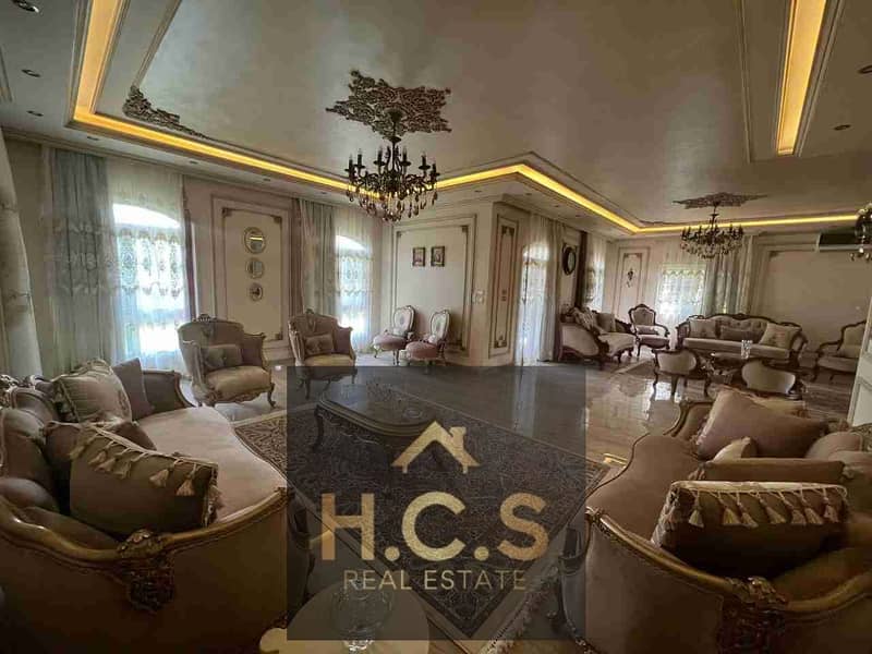 1000556951. jpg 1000556951. jpg