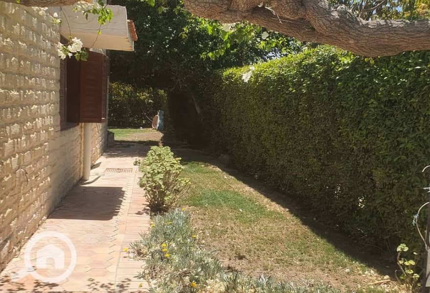 9 72dd8665-1c2d-447b-8d7b-3e538e8a4456. jpg