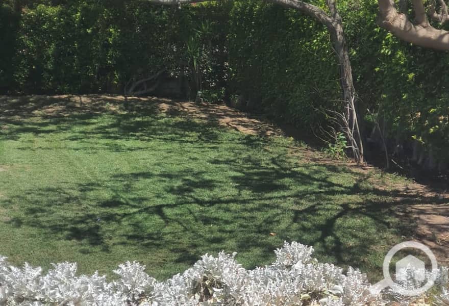 10 4457c0ac-cde1-42eb-9e74-47710a848197. jpg