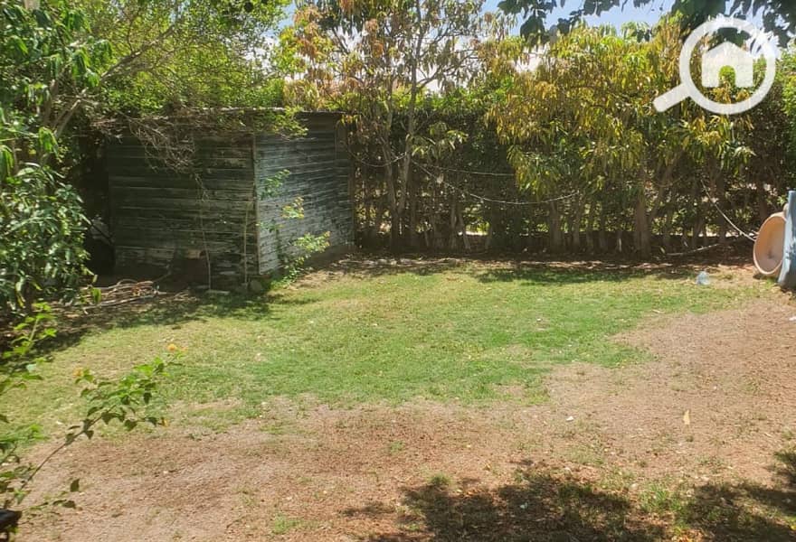 17 ed16e997-f67b-4b86-9669-d01e8e8aa04d. jpg