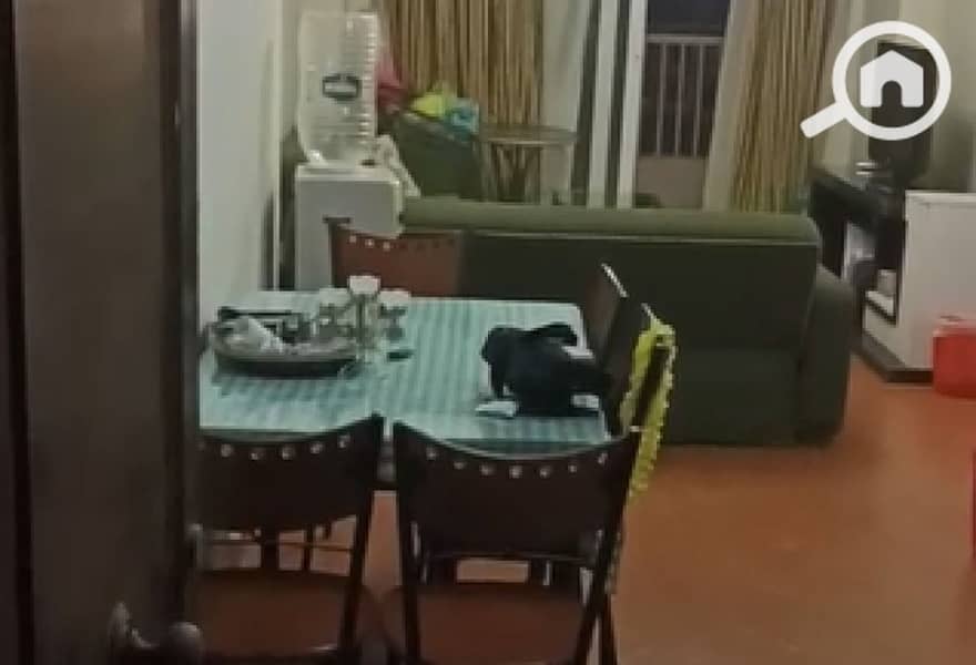 8 b661f8dd-6004-420d-9b8e-cd0f970539c3. jpg