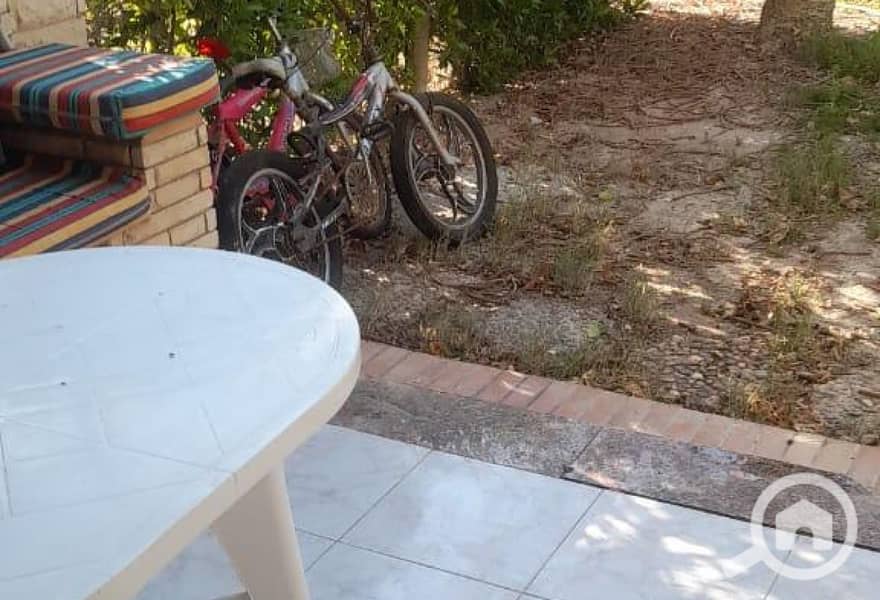 9 572bdf6e-cc90-447d-8658-1f29cdd1a10d. jpg