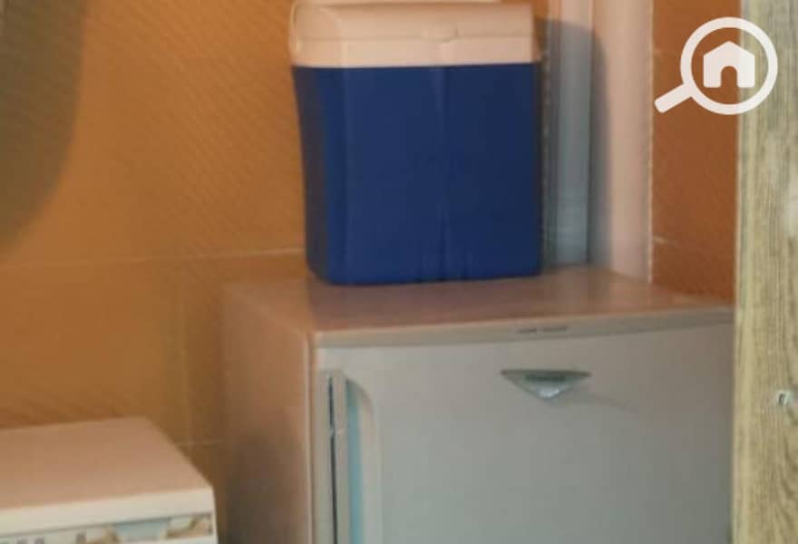 11 885e1bb2-3d55-4713-ae15-abbc9c975643. jpg