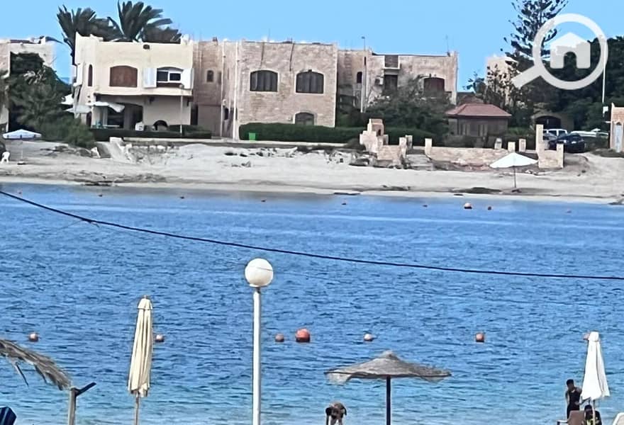 3 1e698027-c25b-472c-85b6-a8a906ef0441. jpg