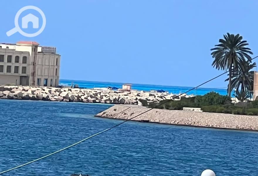 4 5d24885e-9949-4d04-9d0c-abeb69fceefd. jpg