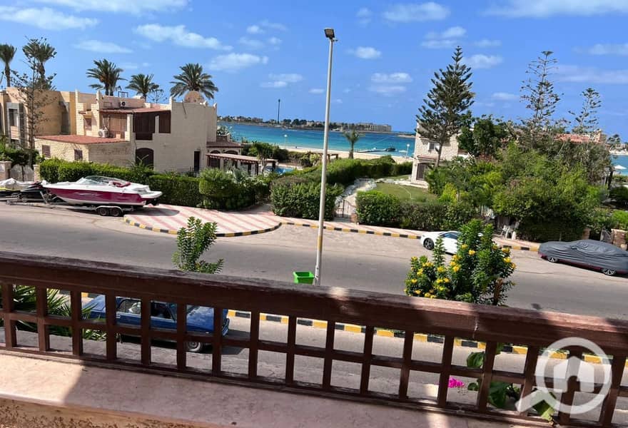 6 248af7d7-b76b-41c8-ba16-c6f89a0b8ed2. jpg