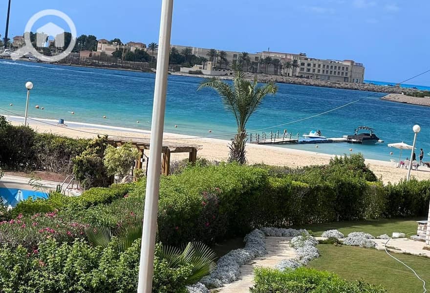 9 39883326-e3e3-4a20-8621-5ddc1acd20f3. jpg