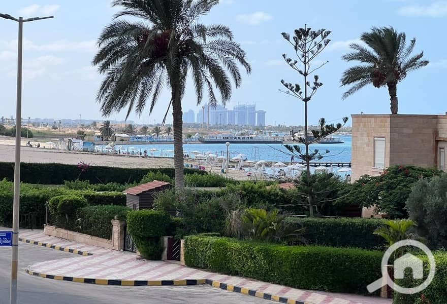 11 66647304-96b6-49a8-9e54-750ebad2f090. jpg