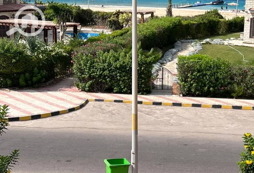 14 cf206c76-bc8b-49f2-891c-2a6b534405cf. jpg