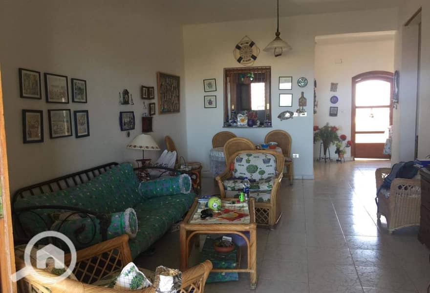 4 8057da0d-d4af-4c1d-973b-d66cfb49f951. jpg