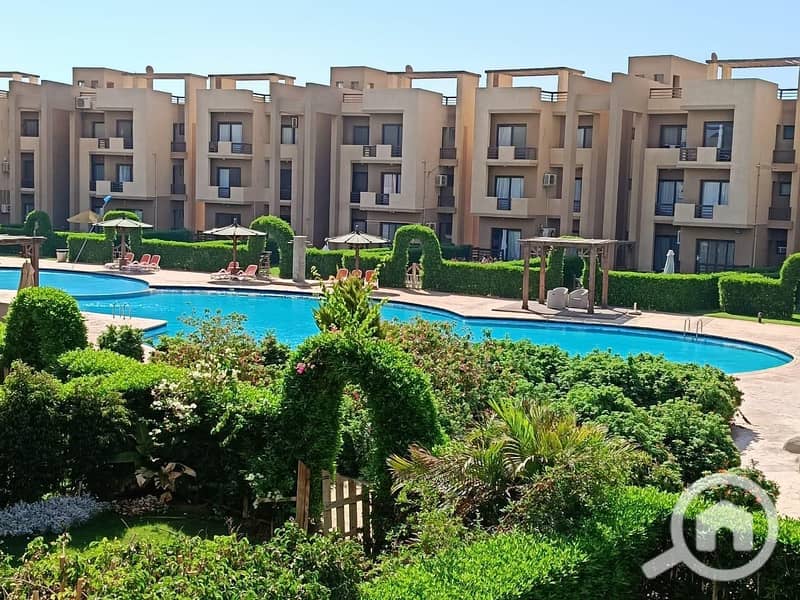 2 WhatsApp Image 2025-07-21 at 13.05. 34 (3). jpeg