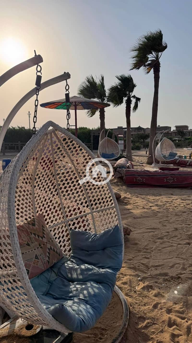 8 535432751_23924823430552329_6650649771367595059_n. jpg