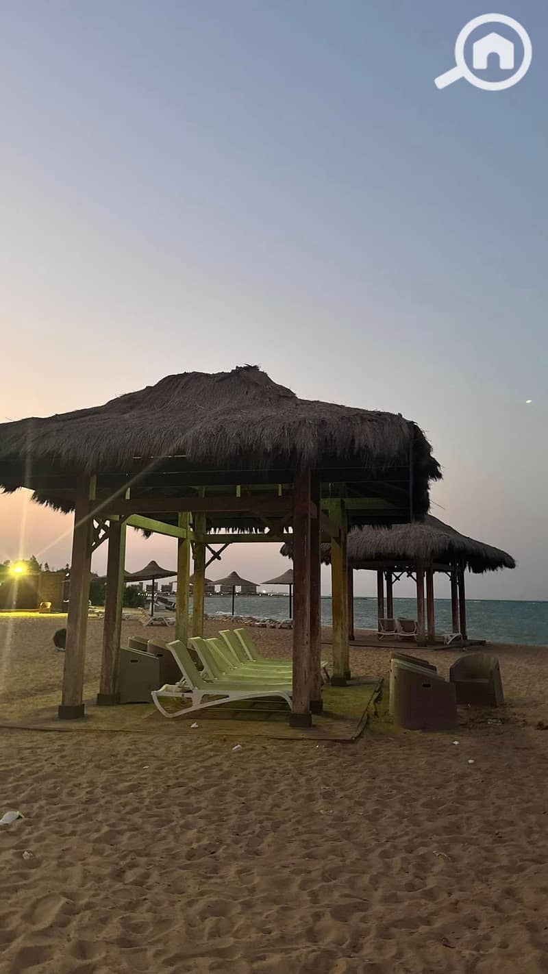 9 536267845_23924825623885443_8341037249275835950_n. jpg