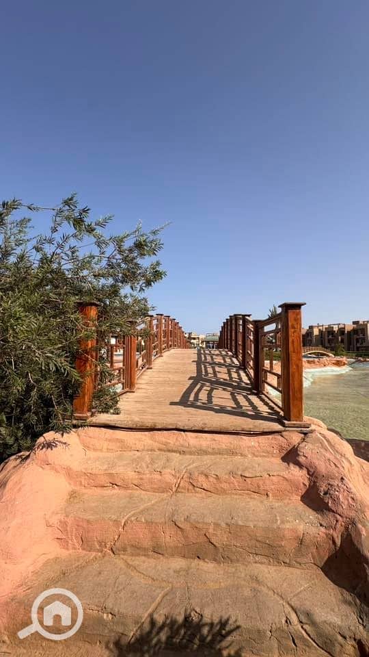 11 536271954_23924808860553786_177639134245621188_n. jpg