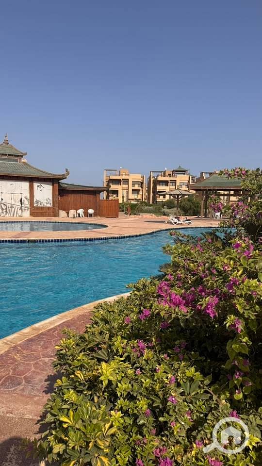 12 536271981_23924807080553964_5273838757749162416_n. jpg