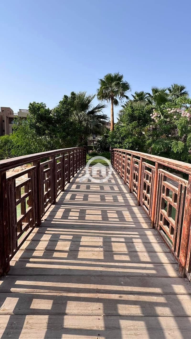 13 536272863_23924826877218651_2766162655880250323_n. jpg