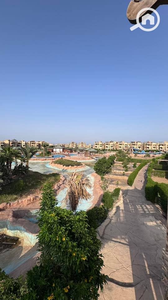 14 536275879_23924810557220283_5931621528173163482_n. jpg