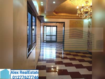 3 Bedroom Apartment for Rent in Glim, Alexandria - WhatsApp Image 2025-11-27 at 1.13. 04 PM (2). jpeg