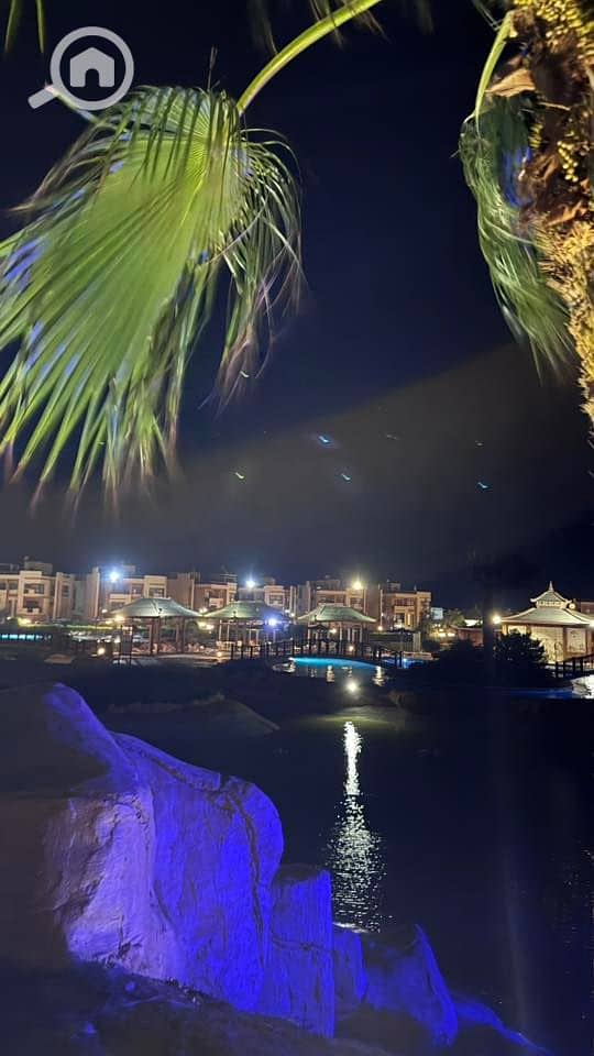 4 536269447_23924805707220768_4650110327296163889_n. jpg