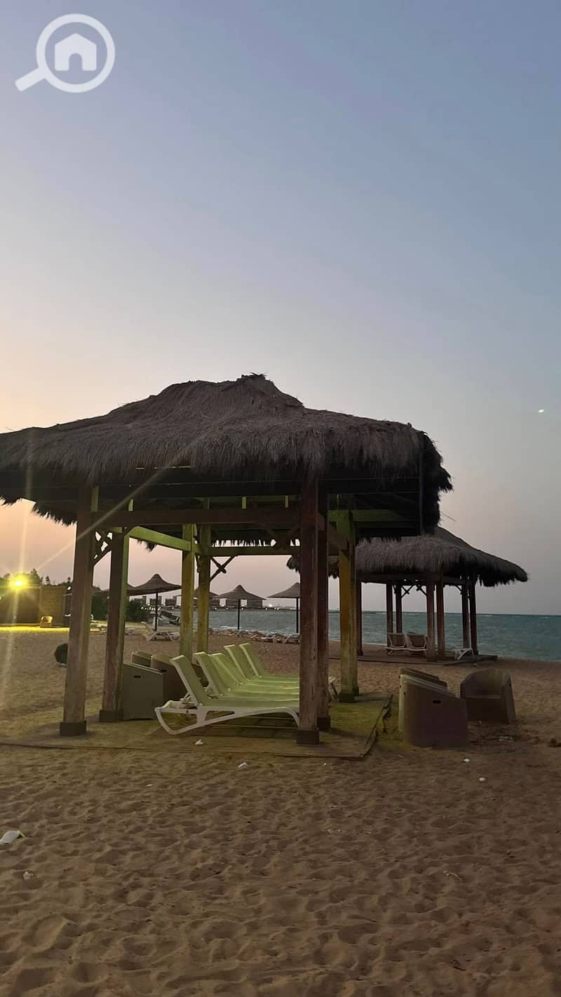 9 536267845_23924825623885443_8341037249275835950_n. jpg