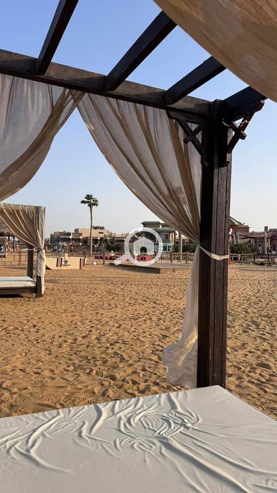 12 536269463_23924808617220477_8089860145606551708_n. jpg