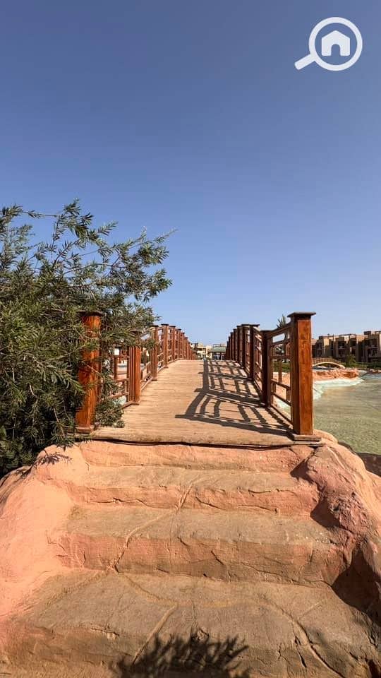 13 536271954_23924808860553786_177639134245621188_n. jpg