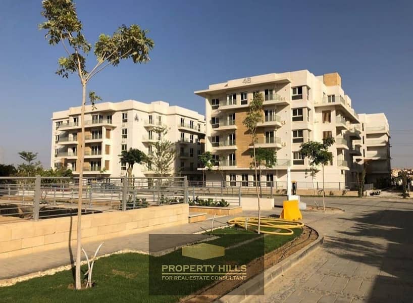 12 WhatsApp Image 2024-06-06 at 1.33. 48 PM (1) - Copy. jpeg