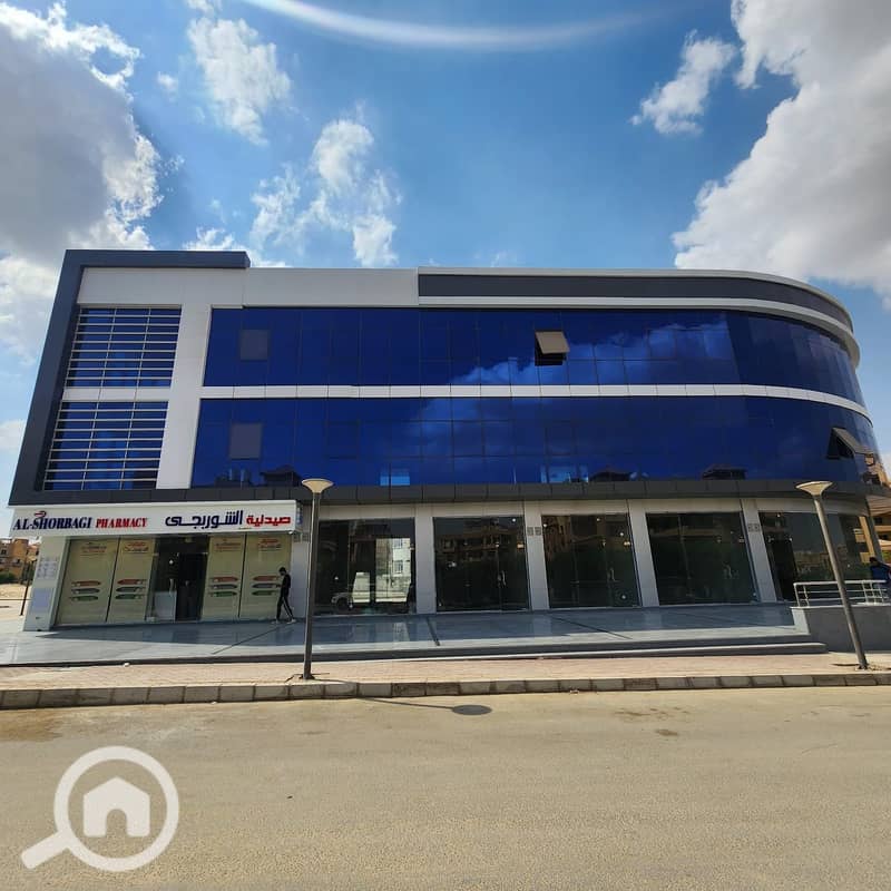 1000206260. jpg 1000206260. jpg