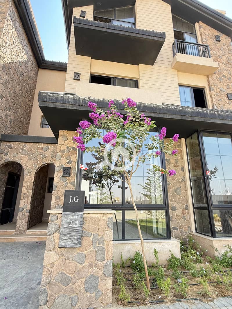 6 40d7c557-ee9a-469c-a38b-177e492521c1. jpeg