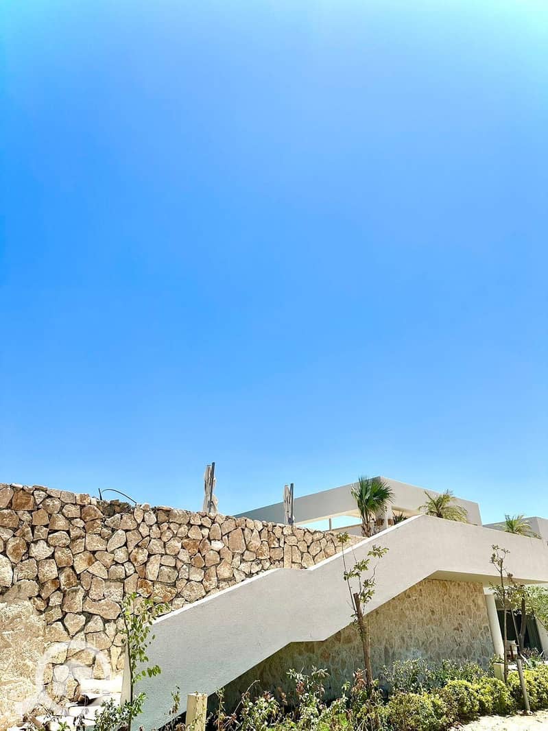 10 bf523b8d-a74b-4196-81df-aece891be0b9. jpeg