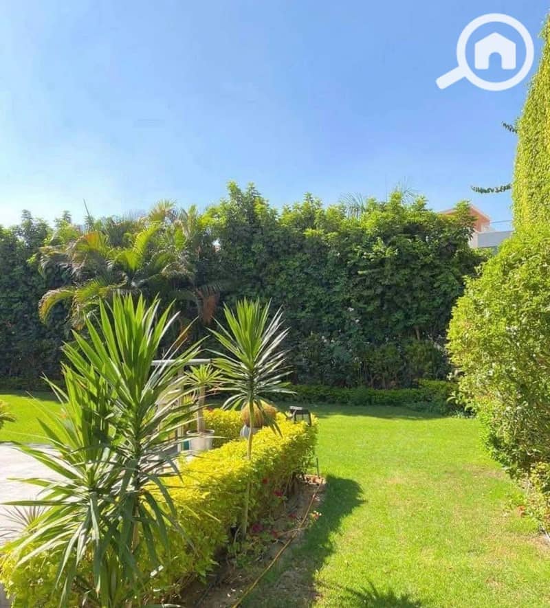 5 03814600-129b-4336-afd9-a132761241b4. jpeg