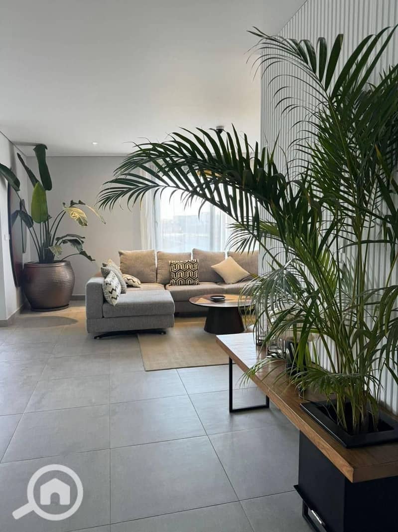 11 d805d19f-fcdb-4309-8047-8e2a507e9e7d. jpeg