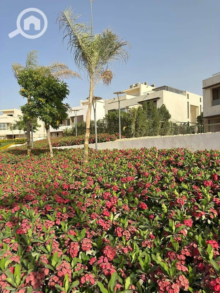 6 513645599_24036663295953157_2330003232577237344_n. jpg