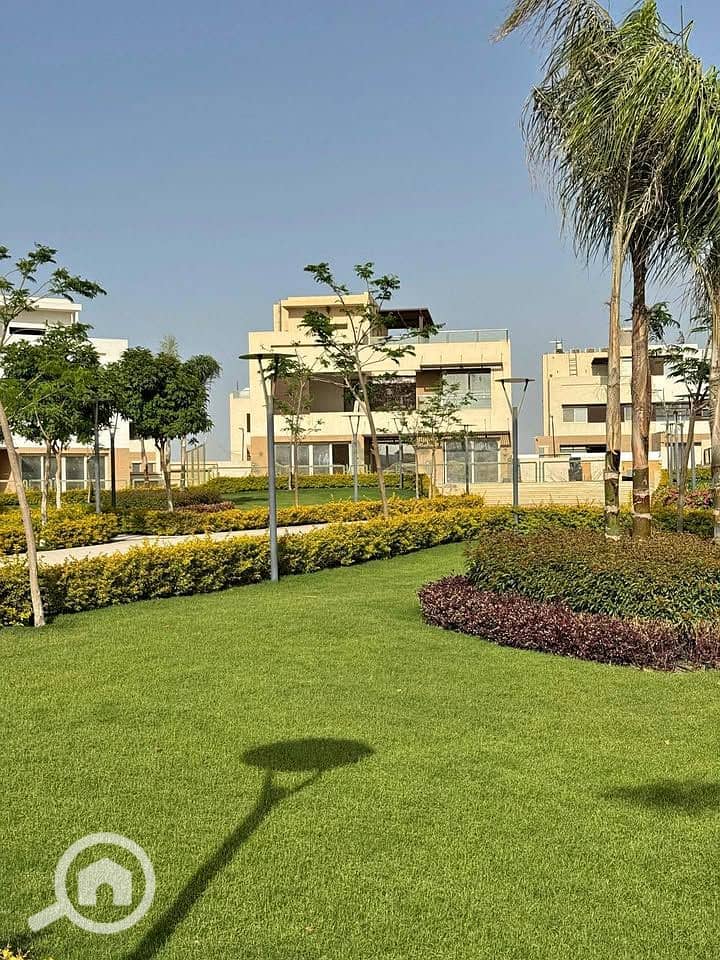 7 523902649_24258074837145334_1355509895603502168_n. jpg