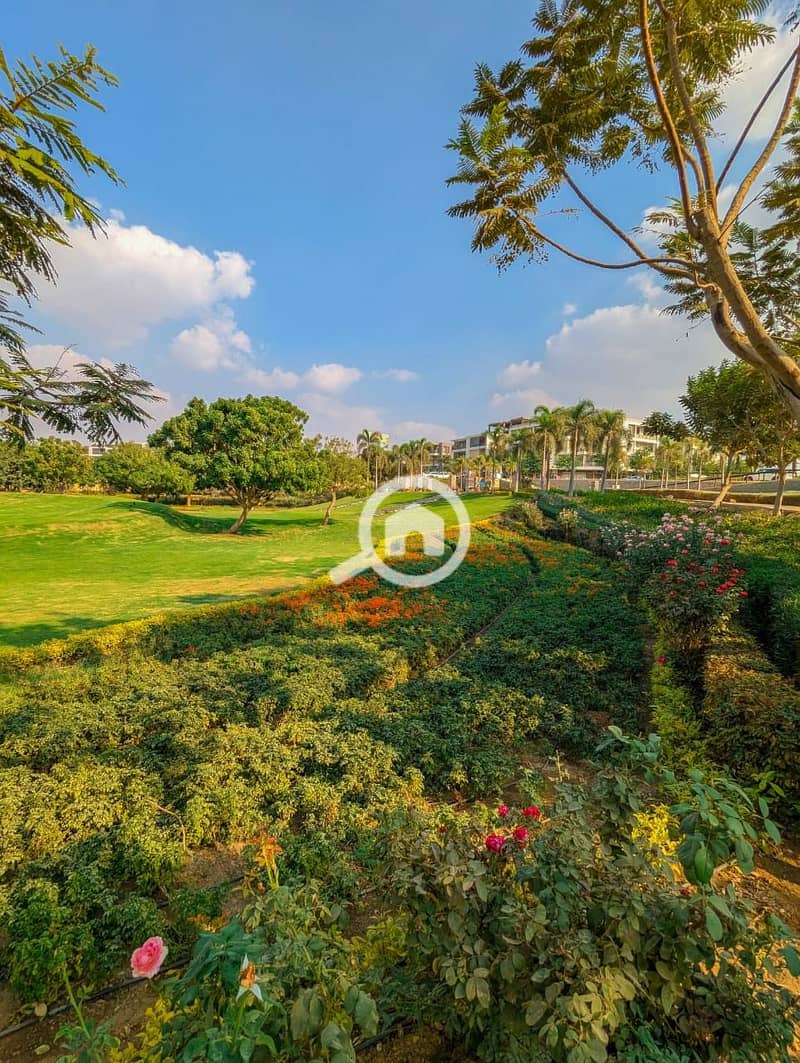 8 584341723_3060657634121943_8673948921656072109_n. jpg