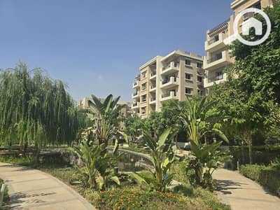 3 Bedroom Flat for Sale in New Cairo, Cairo - 587067493_1910397379686114_8449728181707243048_n. jpg