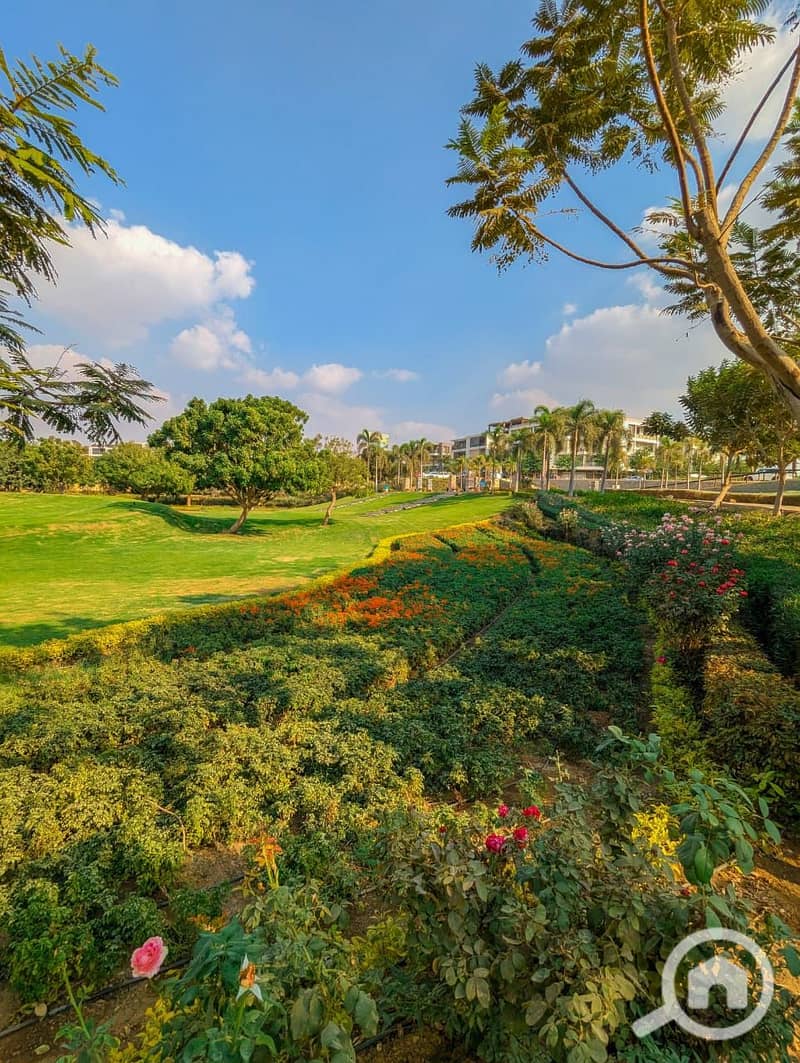 8 584341723_3060657634121943_8673948921656072109_n. jpg