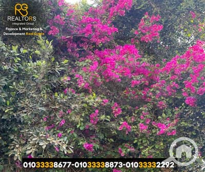 أرض سكنية  للبيع في 6 أكتوبر، الجيزة - 4. png